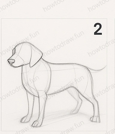 Step 2: Refining shapes, outlining head, legs, and ears.