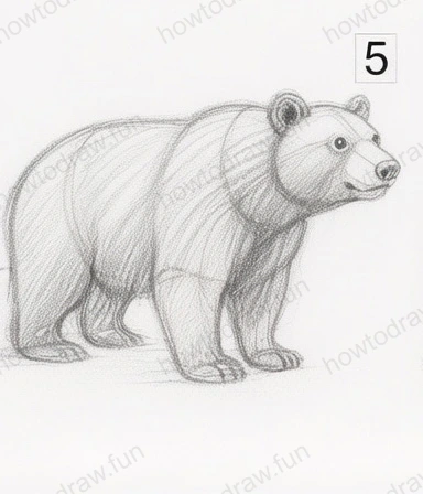 Shading the bear to create depth and dimension.