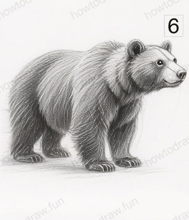 Final detailed bear with fur texture and highlights.