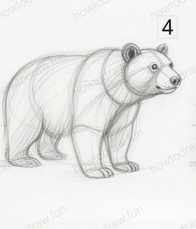 Adding fur texture and defining the bear's body.