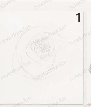 Initial sketch of a rose with basic shapes and outlines.