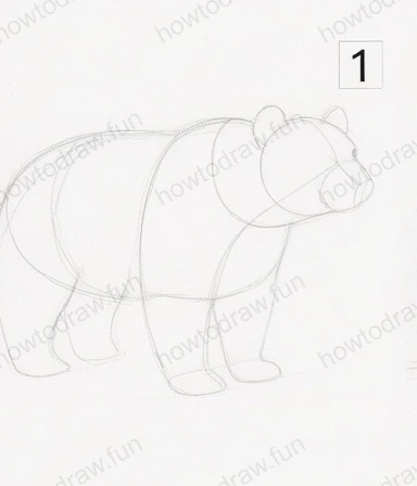 Initial sketch of a bear using basic shapes and outlines.