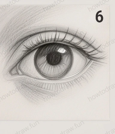 Step 6: Finalize the drawing with finishing touches and adjustments.