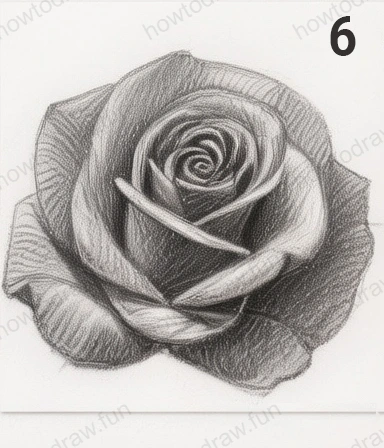 Final touches on the rose with highlights and darkened shadows.