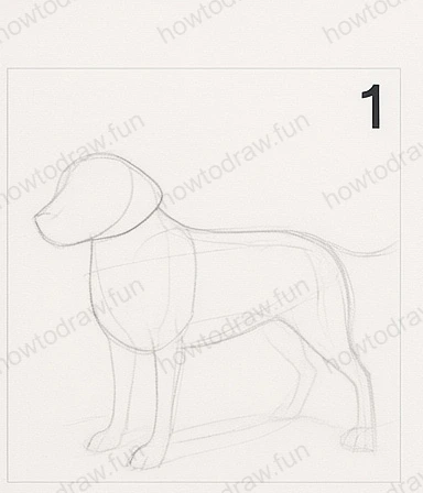 Step 1: Basic shapes for dog outline, oval and circles.