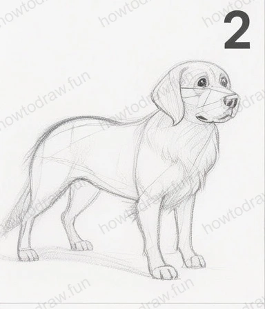 Refined outlines of the dog's form with added details.